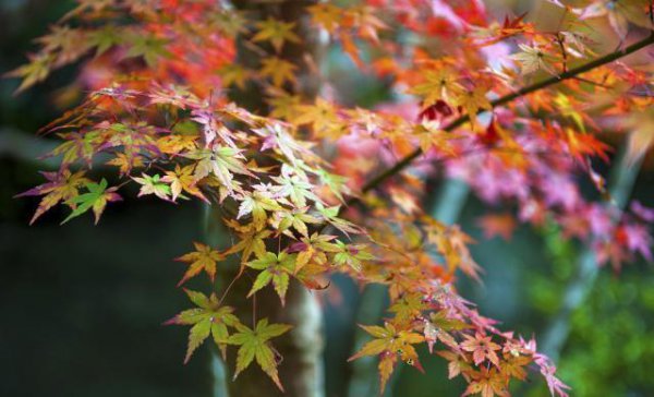人际交往的第一原则