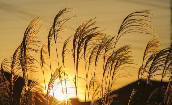 人际交往的第一原则