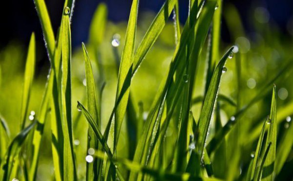 人际交往的第一原则