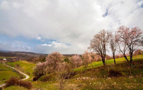 人际交往的第一原则