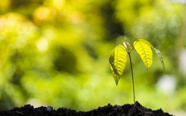 人际交往的第一原则