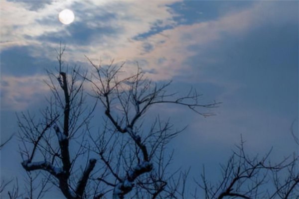 世界十大恐怖禁歌第一名