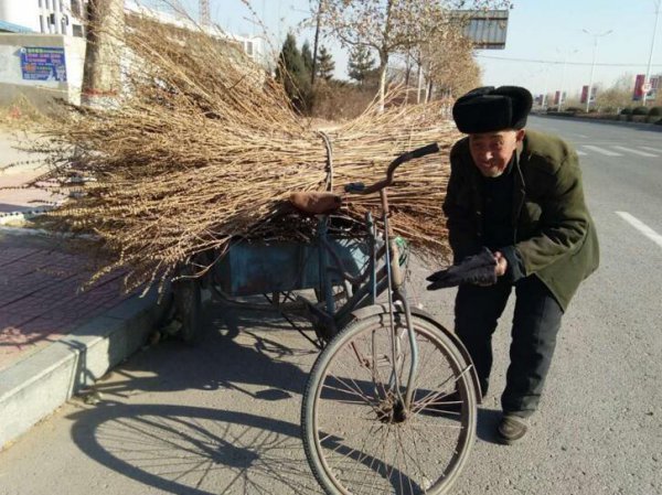 终身未婚老人如何养老送终