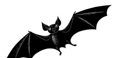 蝙蝠的寓意和象征是什么 蝙蝠代表什么吉祥的意义