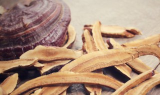 黑灵芝有什么功效 灵芝的功效与作用