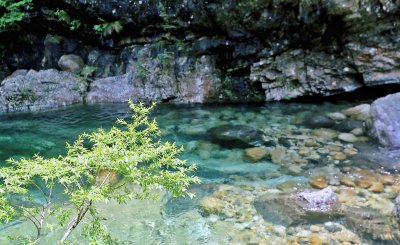 卧虎藏龙所有取景地有哪些 取景地黄山市黄山风景区介绍