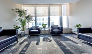 家中摆什么植物风水好 家里种植哪些植物对风水好