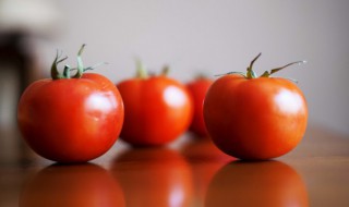 西红柿米线的家常做法 西红柿米线怎么做