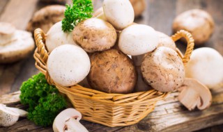 蘑菇煮熟了可以第二天吃吗 蘑菇煮熟了第二天能吃吗