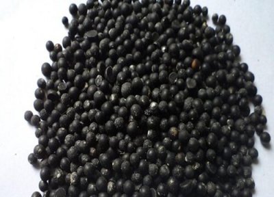 芦笋种子播种时间 芦笋种子的种植方法