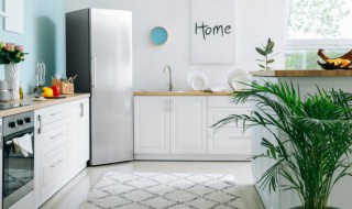 卧室放冰箱怎么选择 卧室放冰箱选购技巧