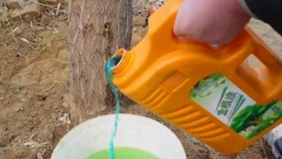 树木移植为什么用生根液 大树移栽生根液怎样使用