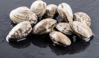 花甲吃什么部位 花甲的介绍