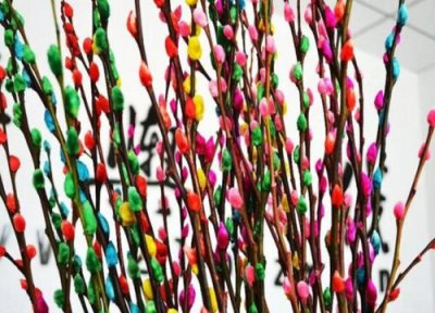 开门见银柳好吗 对着大门的进门门口处放银柳风水好吗