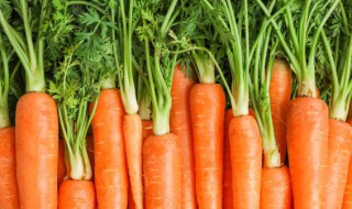 胡萝卜放软了还能吃吗 胡萝卜放软了还可以食用吗