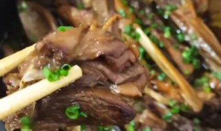 砂锅鸭肉怎么做好吃 沙锅炖鸭子好吃的简单方法