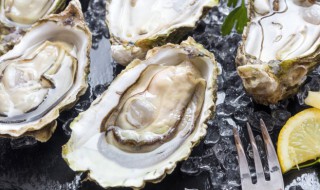 生蚝暂时不吃如何保存保鲜 如何保存生蚝