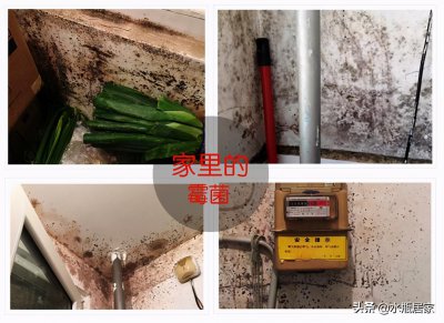 墙壁发霉怎么处理 室内墙面发霉处理根治的小技巧