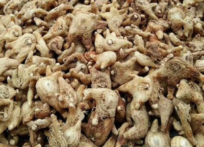 白芨能否泡水喝 白芨可以泡水喝吗