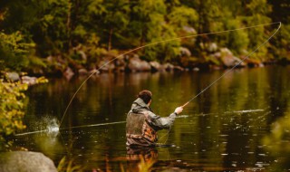 钓鲫鱼技巧口诀 钓鱼技巧大全口诀