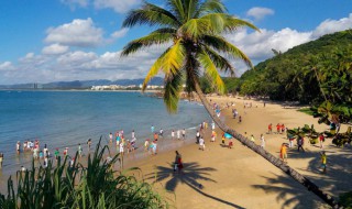 去海南几月份比较合适 去海南什么月份比较合适