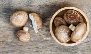 新鲜香菇片怎么保存 鲜香菇如何保存