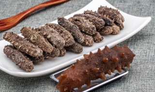 干海参能冷冻保存吗 干海参是否可以冷冻保存