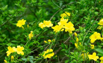 四季怎么划分月份 二十四节气中一年四季怎么划分