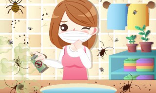 喷了杀虫剂怎么散味 喷了杀虫剂如何快速散味呢