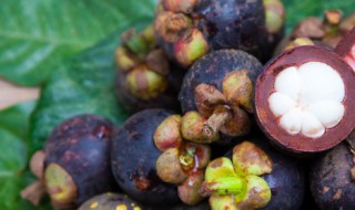 吃山竹的好处与坏处 吃山竹的好处和坏处