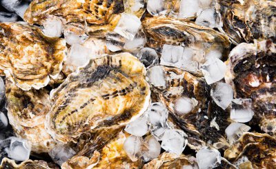 生蚝可以带壳放冰箱冷冻吗 保存带壳生蚝的注意事项