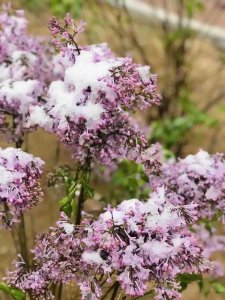 今年小本生意做什么好 创业开什么店好赚钱投资小