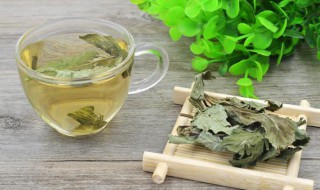 隔夜荷叶茶能喝吗 隔夜荷叶茶还可以饮用吗