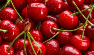 西安樱桃几月份成熟 西安樱桃的成熟期一般是几月