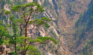 黄山几月份合适去 什么季节去黄山