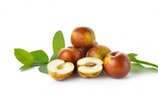 枣花什么时候开花 枣花开花的时间