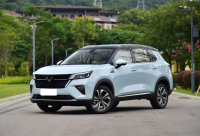 目前最成熟的混动汽车 口碑最好的油电混合车品牌