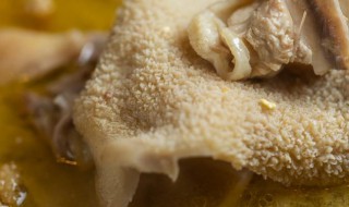 煮羊肚放什么调料商业版 生羊肚怎么煮放什么大料