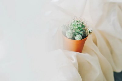 从朋友圈观察女人性格 怎么从女生朋友圈看她是怎样的人