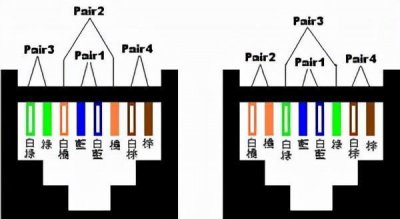 网络水晶接头排线图片 如何给网络线的水晶头排线