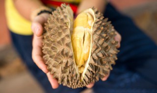 榴莲能不能带到飞机 榴莲是否可以带到飞机
