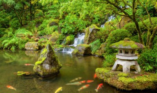 户外鱼池污渍怎么清理干净 户外鱼池污渍的清理方法