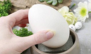 鹅蛋怎么挑才是新鲜 鹅蛋如何选购才新鲜