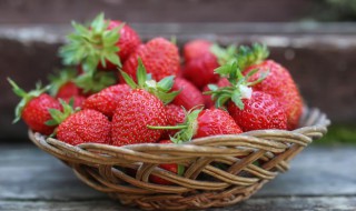 广东什么季节适合种植草莓 广东适合播种草莓的季节