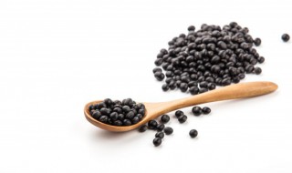 黑豆磨豆浆可以晚上喝吗 晚上可以喝黑豆浆吗