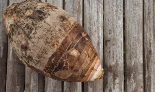 芋艿怎么保存才新鲜 芋艿如何保存才新鲜