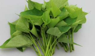 吃红薯叶的好处和坏处 食用红薯叶对人的好处和坏处介绍