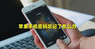 强制解除苹果手机锁屏密码 苹果锁屏密码忘了怎么办