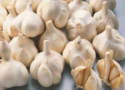 预测2023年大蒜行情分析 预计大蒜价格走势如何