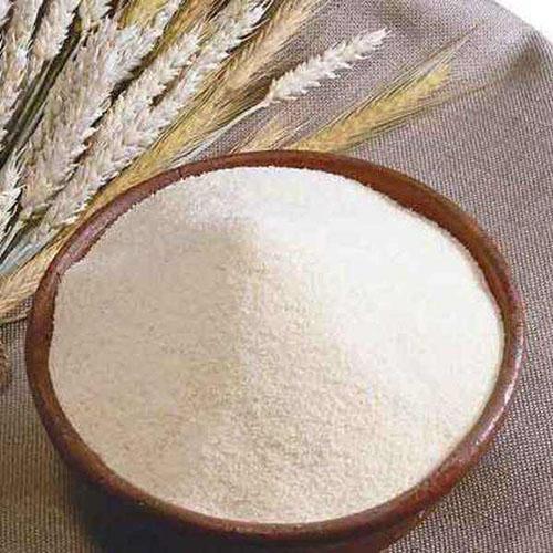 发了情的泰迪有多可怕